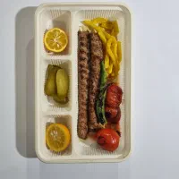 کارگرساده وکمک آشپز آقا