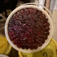 خرما خاسویی وکبکاب اعلا
