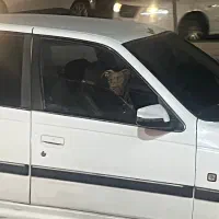 پیتبول