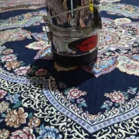 سبزی خرد کن