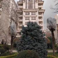 لابی من بازنشسته در مجتمع مسکونی