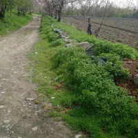 فروش زمین باغی