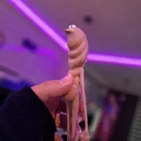 مارکوس 15 سانتی(فیگور)|اسباب‌‌بازی|دلیجان, |دیوار