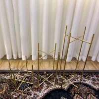 جاگلدونی