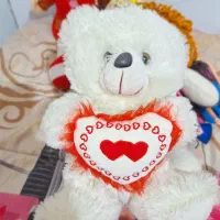 عروسک|اسباببازی بچه|رشت, رودبارتان|دیوار