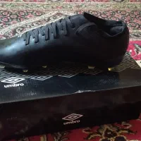 کفش ورزشی|کیف، کفش، کمربند|دوگنبدان, |دیوار