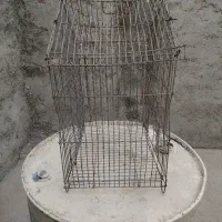 قفس پرنده|لوازم جانبی حیوانات|برازجان, |دیوار