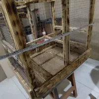 قفس پرنده ،|لوازم جانبی حیوانات|اسلامشهر, شهرک سعیدیه|دیوار