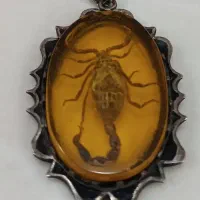 پلاک نقره کهربا