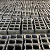 نیروی کار بلوکه زن