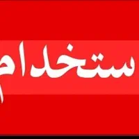 نیروی کار جوان