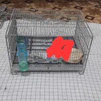 قفس سهره جعل