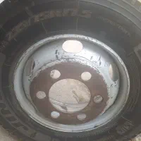 رینگولاستیک ایسوزو