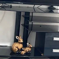 میز تلویزیونی سالم