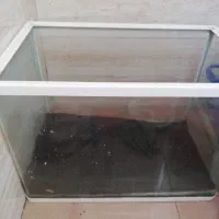 آکواریوم