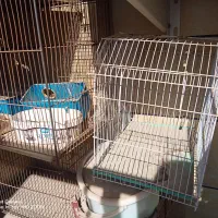 درب اطاق تلویزیون. فریز قفس پرنده جاروبرقی|جاروبرقی، جارو شارژی، بخارشو|اهواز, رسالت|دیوار