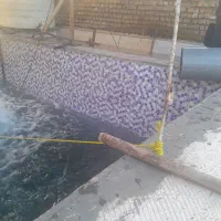 ماهی پاک کن