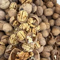 مغز.. گردو|خوردنی و آشامیدنی|شیراز, پودنک|دیوار