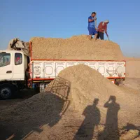 فروشی|حیوانات مزرعه|زارچ, |دیوار