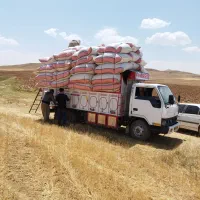 کاه درجه یک کردستان|حیوانات مزرعه|رشت, نامجو|دیوار