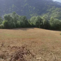 فروش زمین باغی در ریگ چشمه|فروش زمین و ملک کلنگی|مینودشت, |دیوار