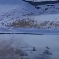 گوسفند میش بره و بره نر پرواری