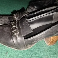 کفش وکیف|کیف، کفش، کمربند|دورود, |دیوار