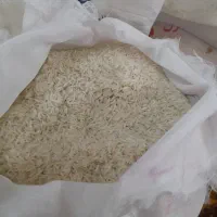 برنج طارم اعلا و گردو|خوردنی و آشامیدنی|قم, چهار امامزاده|دیوار