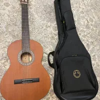 گیتار پارسی مناسب شروع اموزش