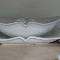 ظروف پذیرایی چینی