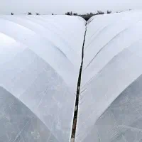 نصاب و جوشکار گلخانه|خدمات پیشه و مهارت|زابل, |دیوار