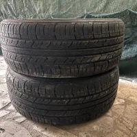 ۲ حلقه لاستیک ۲۲۵/۵۰/۱۸ رودستون کره