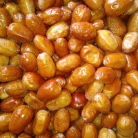 سنجدغزل منطقه شاهرود وبسطام