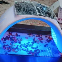 دستگاههای فیشیال و پاکسازی|آرایشگاه و سالنهای زیبایی|صدرا-فارس, فاز ۱|دیوار