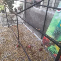 وسایل  مغازه میوه  فروشی و سایبان مغازه|فروشگاه و مغازه|پارس‌آباد, |دیوار