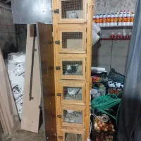 لونه تمیز