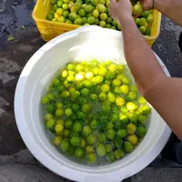 مناسب فروشنده و مصرف کننده|خوردنی و آشامیدنی|قم, چهار مردان|دیوار