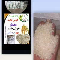 برنج کامفیروزی|عمدهفروشی|بندر کنگان, |دیوار