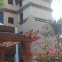 آشپز خونه بانوی ایرانی شیدا یک نیروی خانوم میخاد