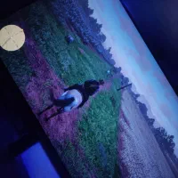 مانیتور msi md241p