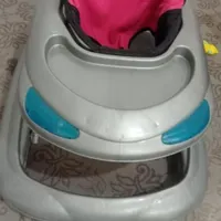 روروئک خاکستری