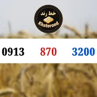 0913.825.7005|سیم‌کارت|اصفهان, خواجو|دیوار