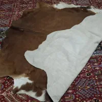 پوست گاوی، قهوه ای سفید|صنایع دستی و سایر لوازم تزئینی|تهران, شهرک رضویه|دیوار