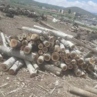 خرید انواع چوب به صورت نقدی