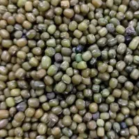 ماش درجه یک تمیز