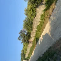 زمین-شهری-در-مرزیکلا