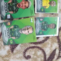 کارت کوپا آمریکاوبرچسب