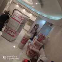 پاک بار بهترین باربری درسطح شهر بسته بندی تضمینی|خدمات حمل و نقل|سنندج, |دیوار