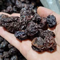 آلو خشک|خوردنی و آشامیدنی|فولادشهر, B5|دیوار