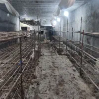 پرورش قارچ